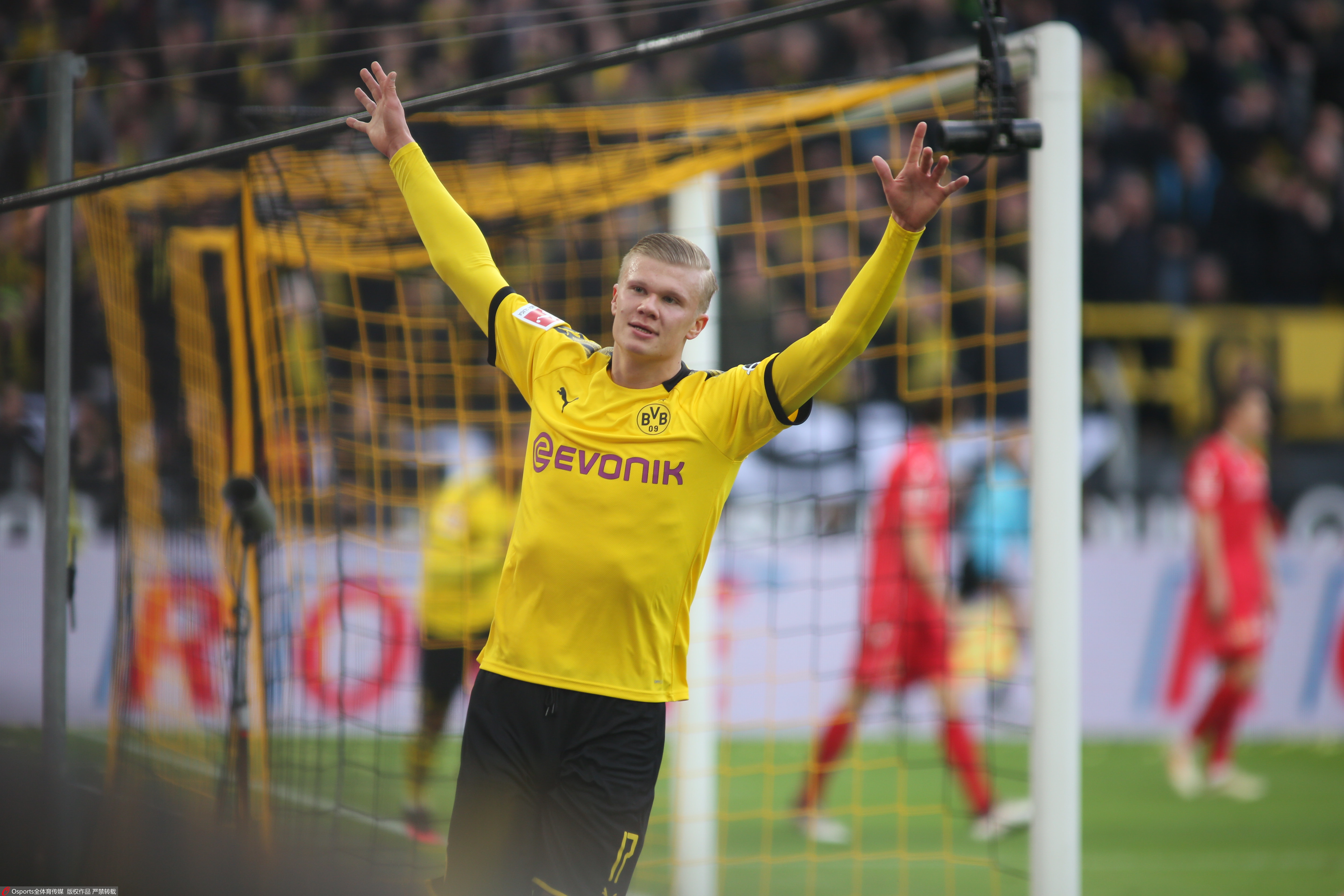 农民的顺子 农民的顺子